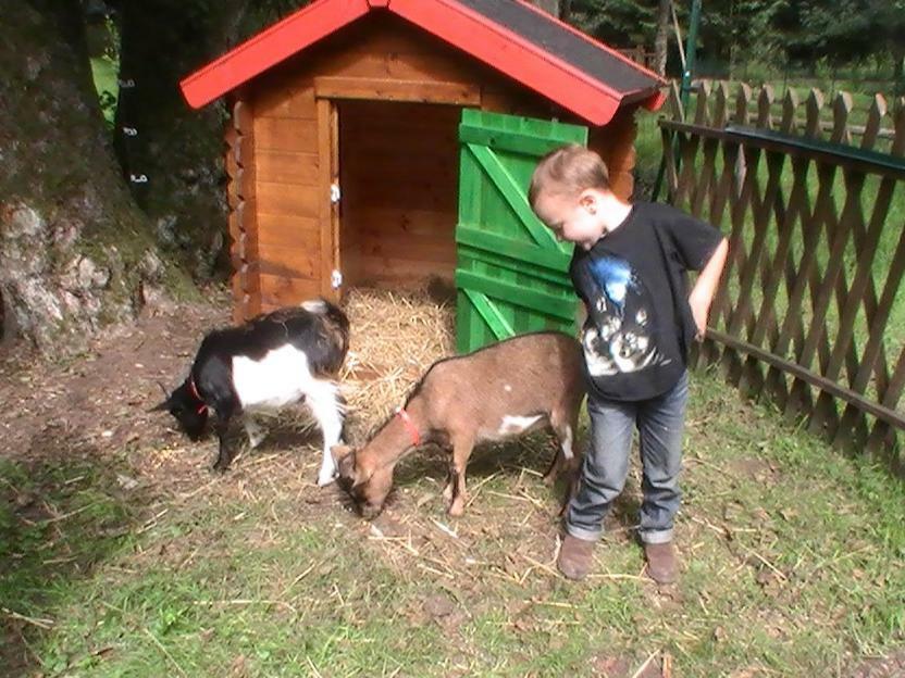Gite De La Baerenbach Haselbourg エクステリア 写真