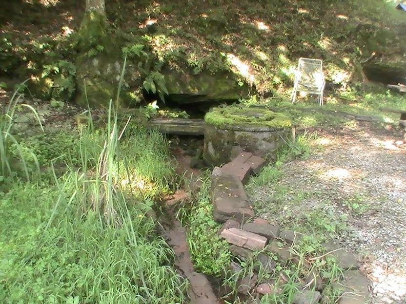 Gite De La Baerenbach Haselbourg エクステリア 写真