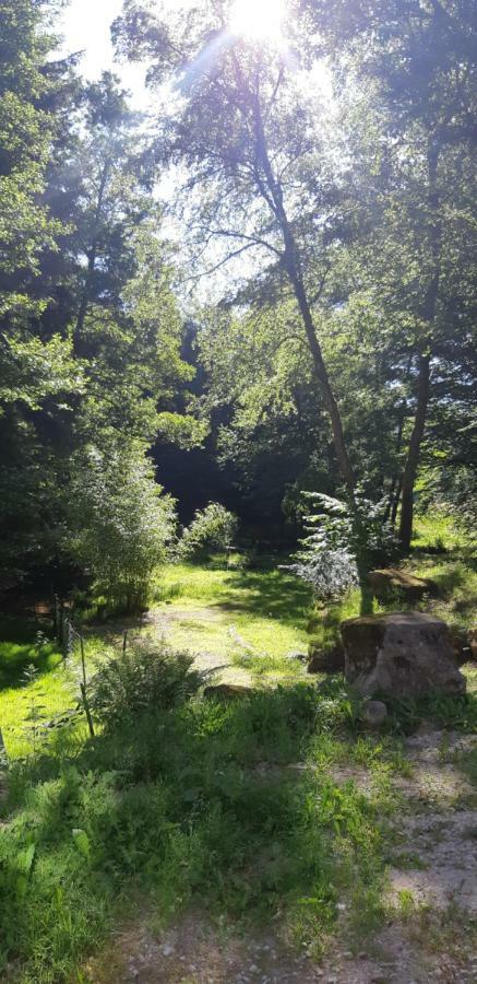 Gite De La Baerenbach Haselbourg エクステリア 写真