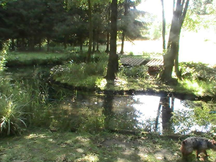 Gite De La Baerenbach Haselbourg エクステリア 写真