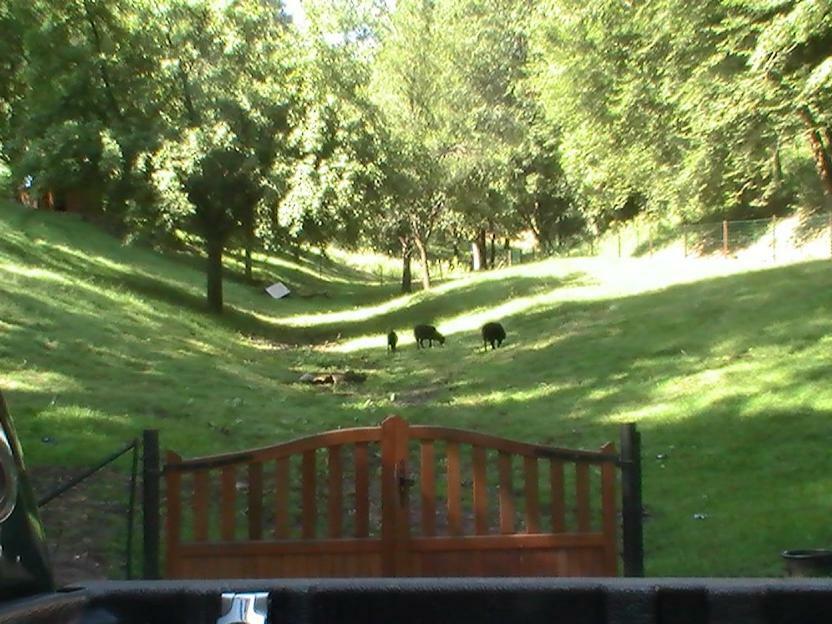 Gite De La Baerenbach Haselbourg エクステリア 写真